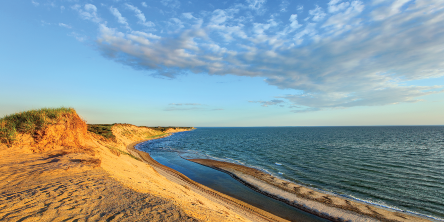 Cape Cod