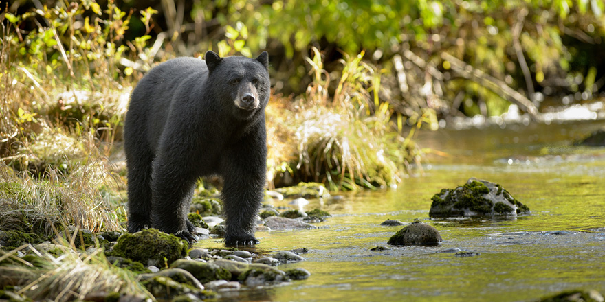 Your Guide to Visiting National and State Parks