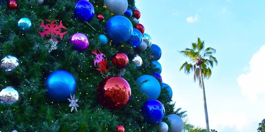 Decorated Christmas tree with palm tree in background