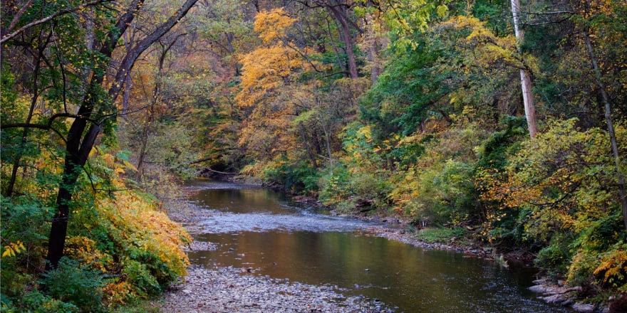 Fall foliage along water