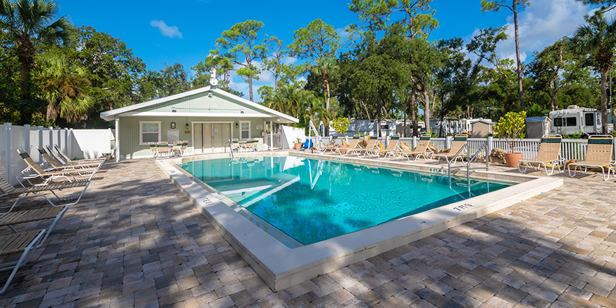 In ground swimming pool with palm trees and lounge chairs