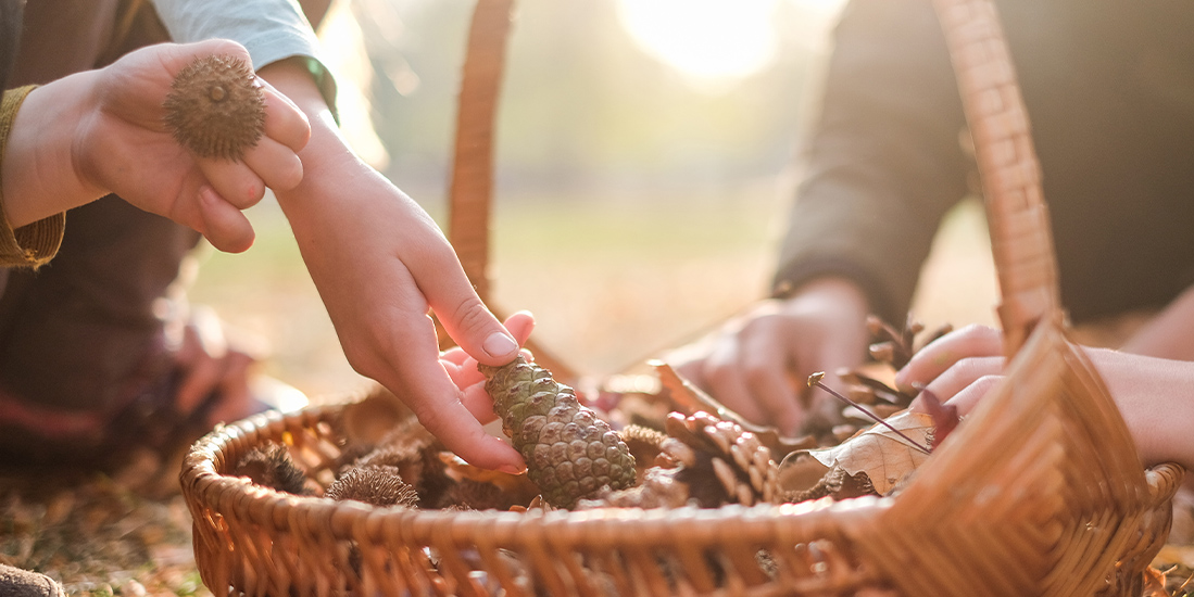 Fabulous Fall Crafts You Can Find in Nature