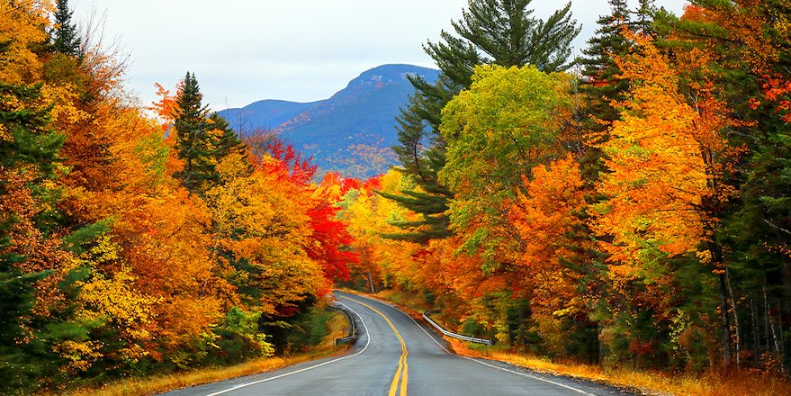 Fall foliage along two-lane paved road with mountain in distance 