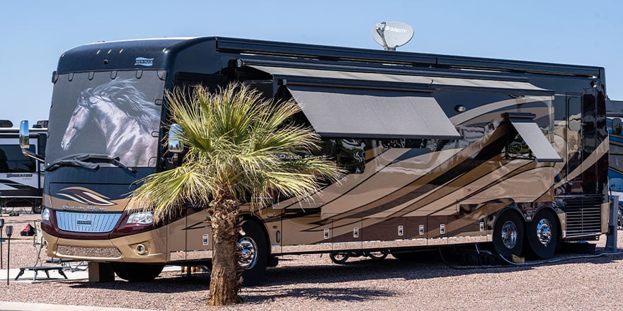 RV with palm tree