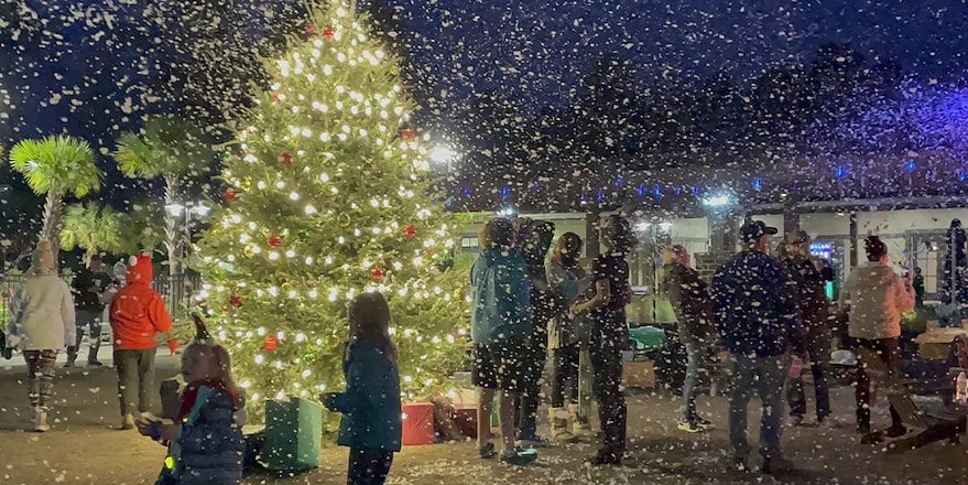 Outdoor christmas tree