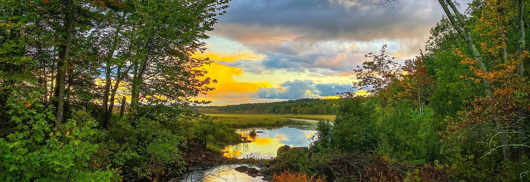 Offers at Jellystone Park™ Androscoggin Lake